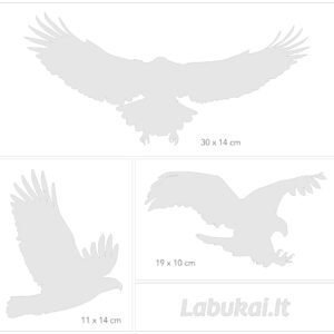 Paukščius atbaidančių šerkšninių lipdukų rinkinys langams